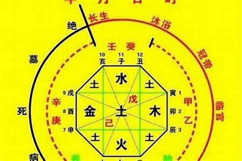 八字五行数字|生辰八字算命、五行喜用神查詢（免費測算）